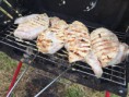 /album/air-grill-2015/img-8532-jpg/